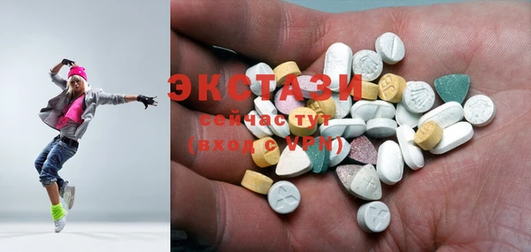 соль ск Рославль